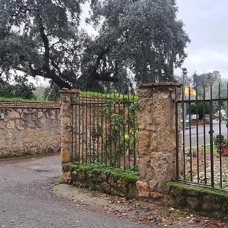 Pet-friendly Appartement